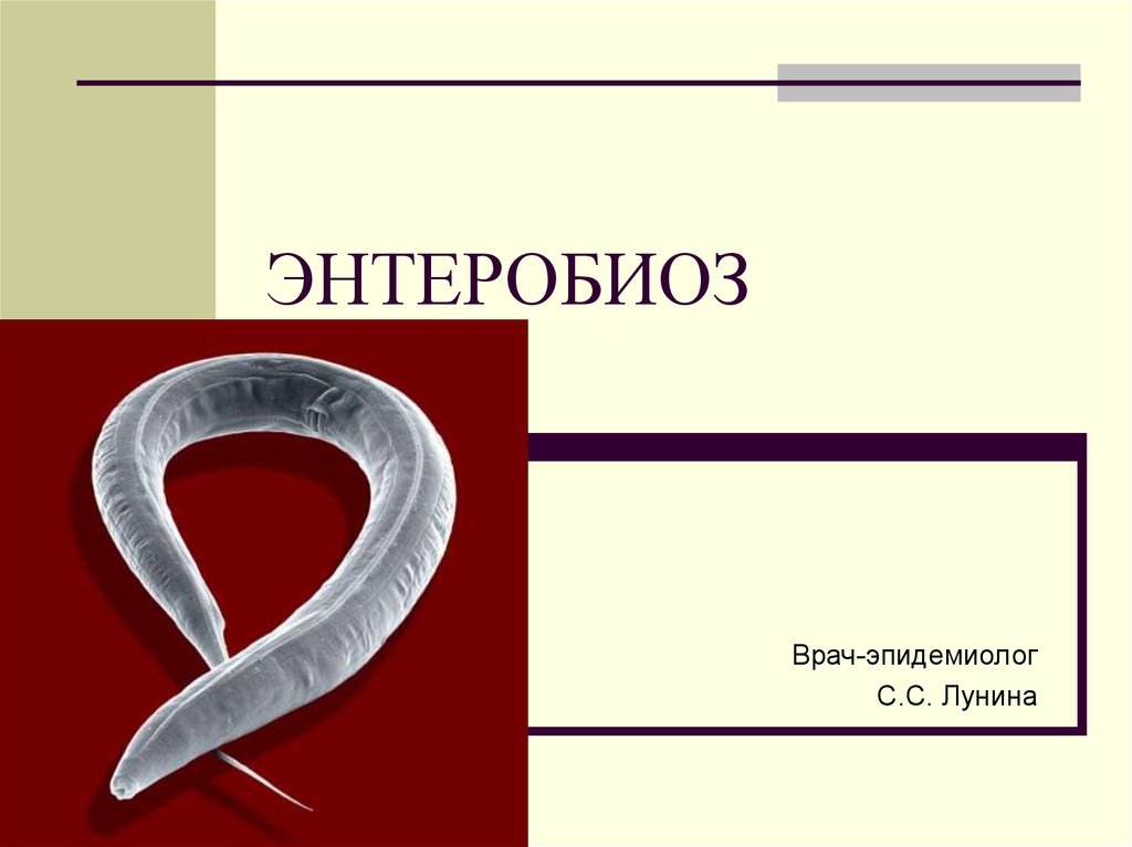 Энтеробиоз что. Энтеробиоз презентация. Диагноз энтеробиоз.