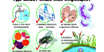 «О мерах профилактики кишечных инфекций»